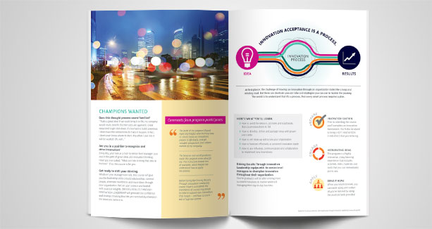 DRI_Brochure_Inside