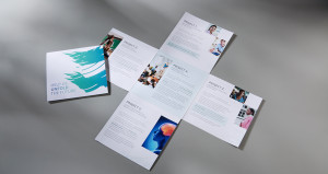 Special Project for the Center for Creative Leadership